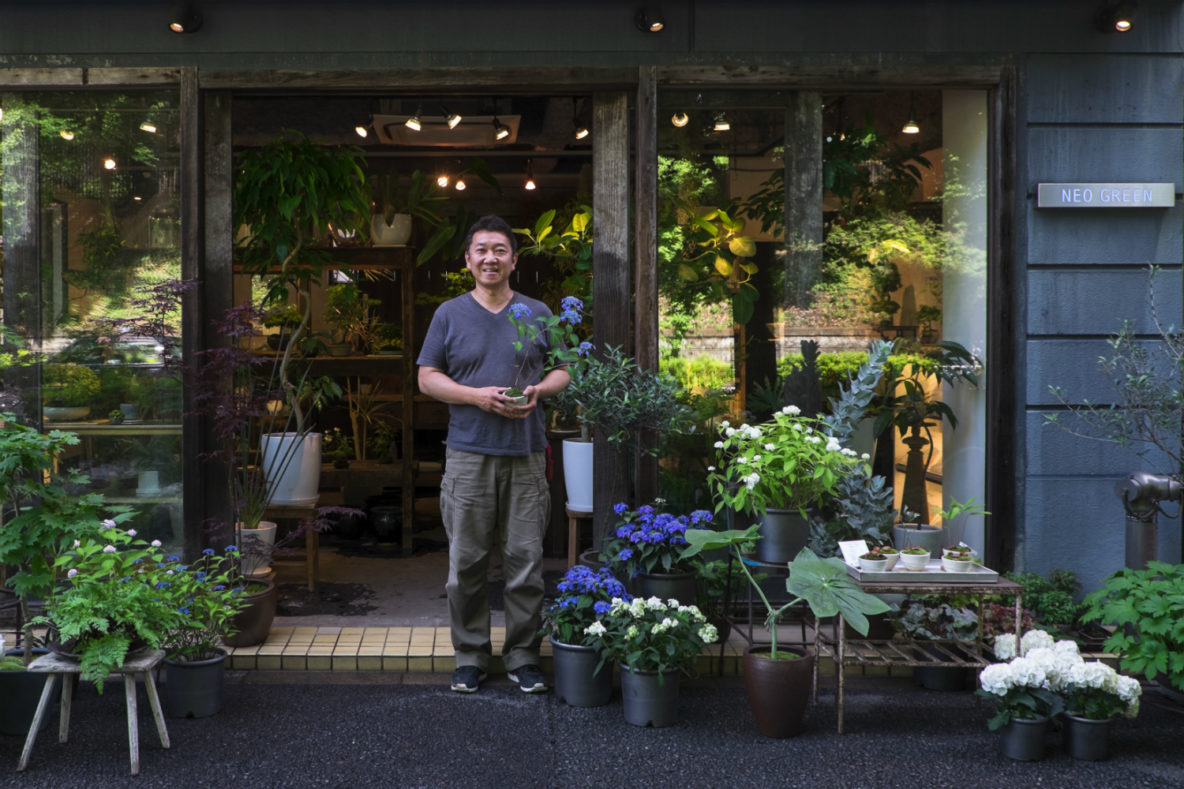 Hitoshi Shirata’s plant and bonsai store Neo Green